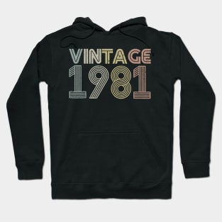 38th Birthday Gift Vintage 1981 Classic Men Women Hoodie